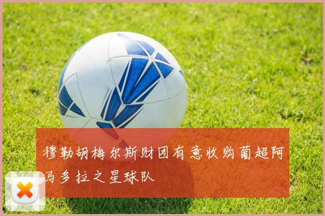 穆勒胡梅尔斯财团有意收购葡超阿马多拉之星球队
