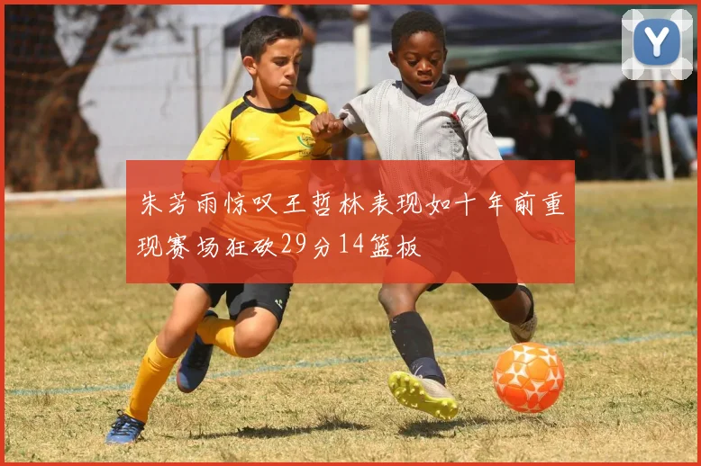 朱芳雨惊叹王哲林表现如十年前重现赛场狂砍29分14篮板