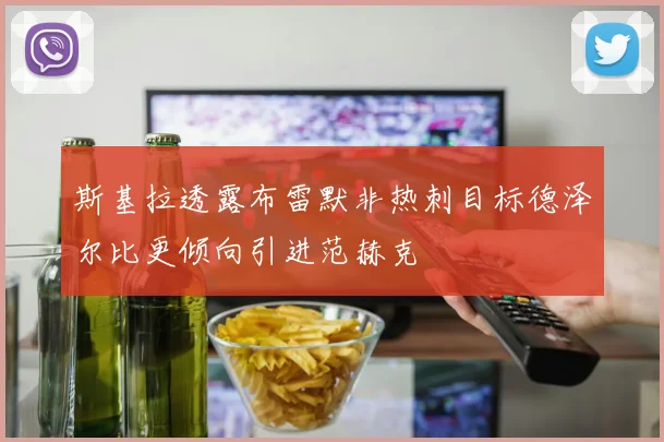 斯基拉透露布雷默非热刺目标德泽尔比更倾向引进范赫克