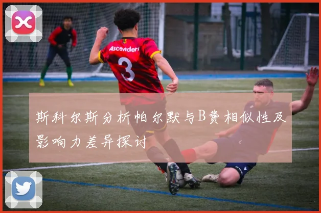 斯科尔斯分析帕尔默与B费相似性及影响力差异探讨