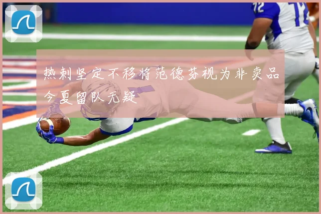 热刺坚定不移将范德芬视为非卖品今夏留队无疑