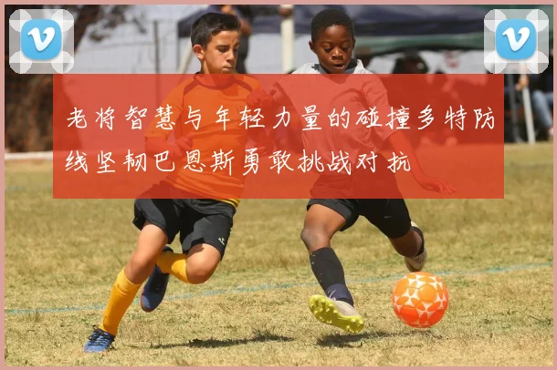 老将智慧与年轻力量的碰撞多特防线坚韧巴恩斯勇敢挑战对抗